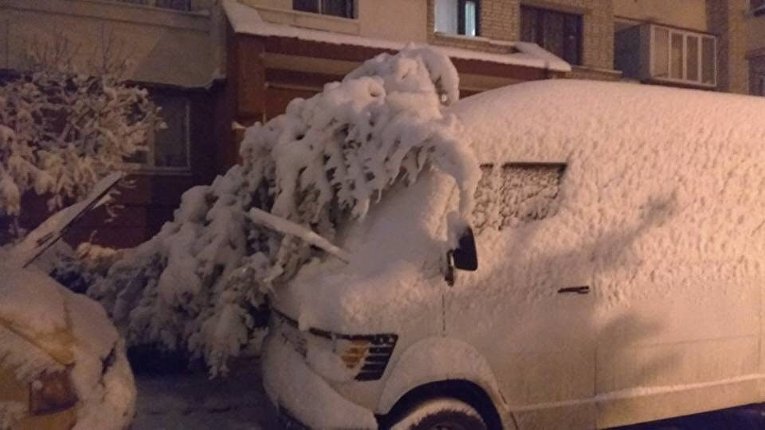 Масштабный снегопад во Львове