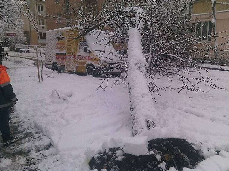 Масштабный снегопад во Львове