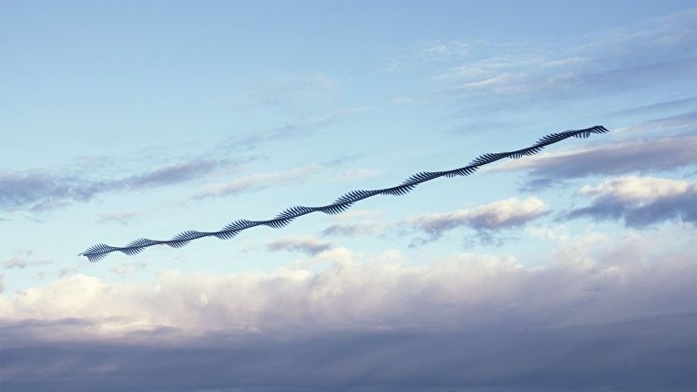 Следы полетов птиц в небе