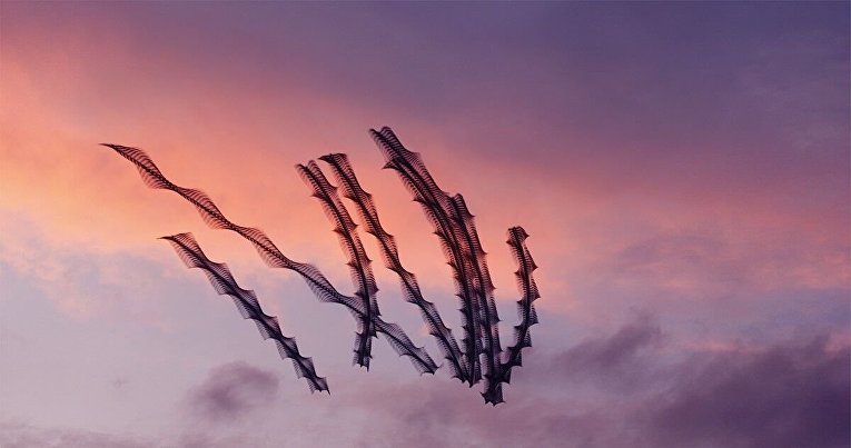 Следы полетов птиц в небе