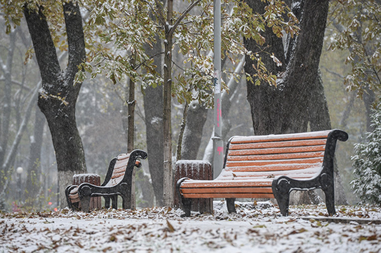 Дождь и снег в Киеве