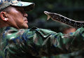 Военные учения по выживанию в джунглях