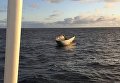 Обтекатель ракеты Falcon 9, упавший в океан