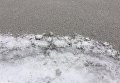В Бурштыне выпал черный снег