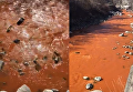 Река в Северной Осетии стала ярко-оранжевой. Видео