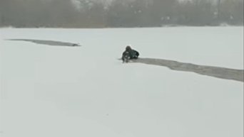 В Канаде девушка бросилась в ледяную воду, чтобы спасти чужого пса. Видео
