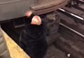 Мужчина прыгнул под поезд метро в Нью-Йорке