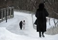 Последний день зимы в Киеве