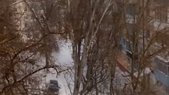 Дерево рухнуло на пятиэтажку в Херсоне. Видео