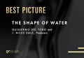 Форма воды завоевала главную награду Оскара