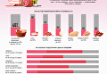 Рост цен на мясо и колбасу. Инфографика