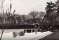 В Киеве устроили автопробег к дому Авакова. Видео