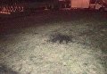 Взрыв на территории Лычаковского кладбища во Львове