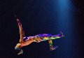 Акробат Cirque du Soleil Янн Арно