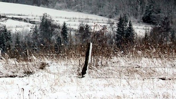 Под Черновцами в снегу нашли тело бывшего депутата