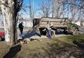 Убийство бродячих собак в Бердянске, 1 апреля 2018