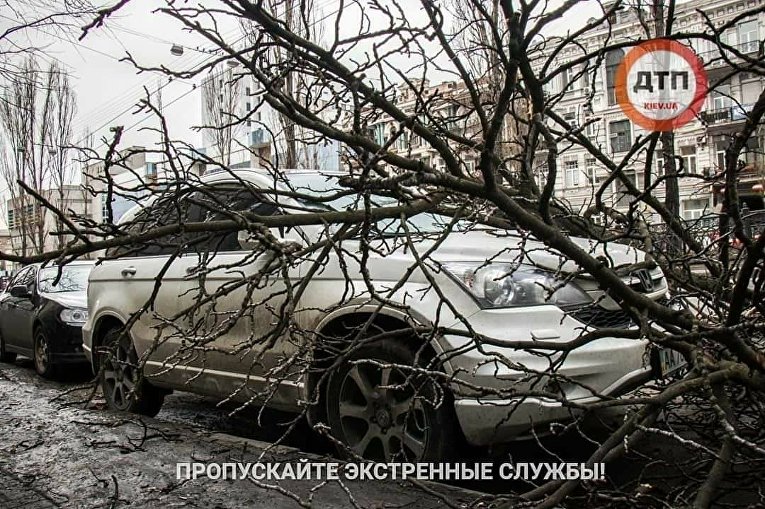 Последствия ураганного ветра в Киеве