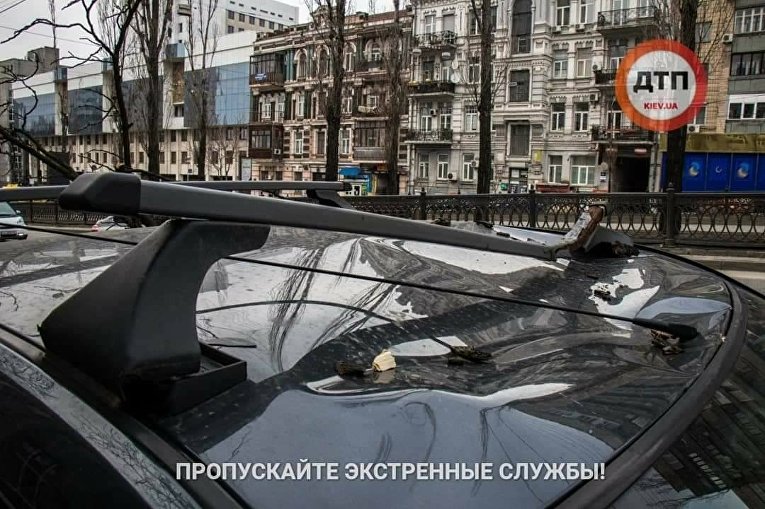 Последствия ураганного ветра в Киеве