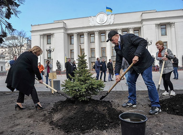 Депутаты под ВР садят деревья