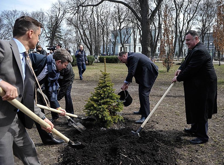 Депутаты под ВР садят деревья