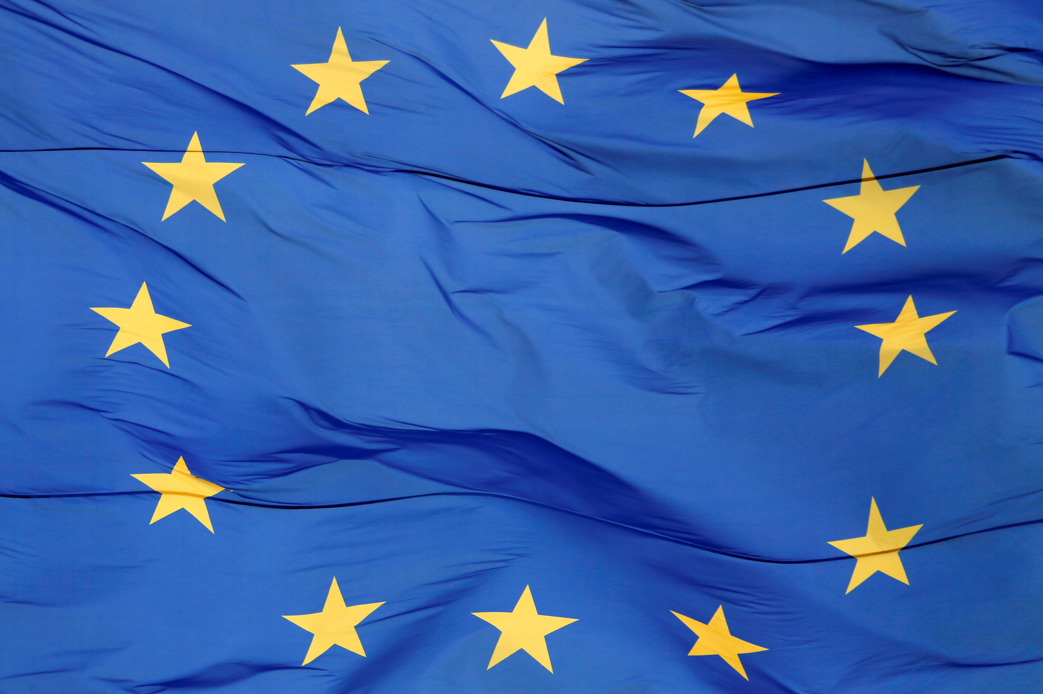 Флаги европы фото. Флаг европейского Союза. Флаг ЕЭС. Флаги Европы. Знамя Евросоюза.