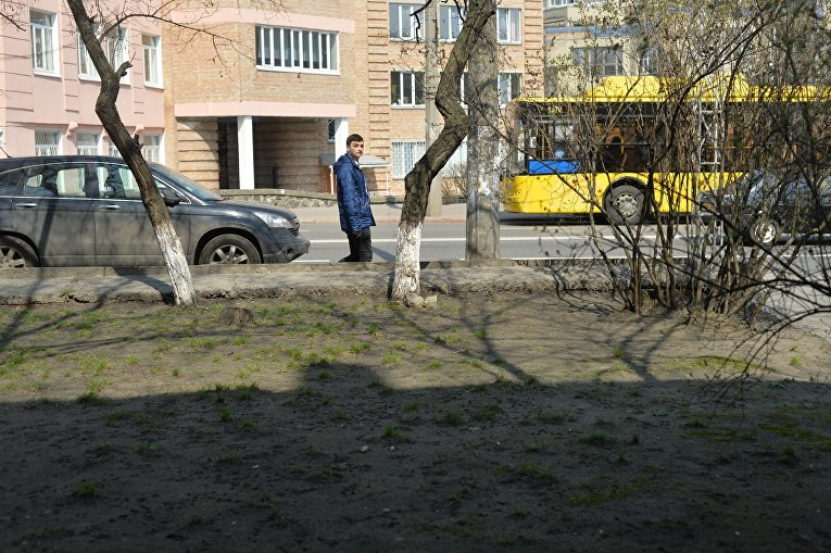 Побелка деревьев в Киеве