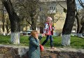 Побелка деревьев в Киеве