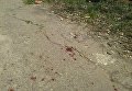 В Лисичанске грузовик с костями врезался в маршрутку: семеро пострадавших
