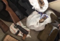 Появились кадры задержания группировки, продававшей оружие в Киеве. Видео