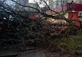 Последствия урагана в Москве, 21 апреля 2018