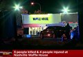 Стрелок-нудист убил троих человек рядом с кафе в США