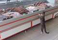 Кот покупает мясо и колбасу
