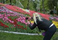 Фестиваль тюльпанов Вокруг света в Киеве