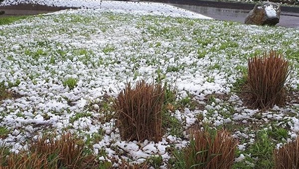 В последний день апреля во Франции выпал снег