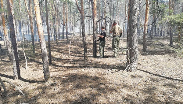 В Луганской области в лесу случился пожар