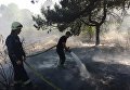 Борьба с пожаром на Трухановом острове в Киеве