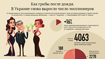 В Украине снова выросло число миллионеров. Инфографика