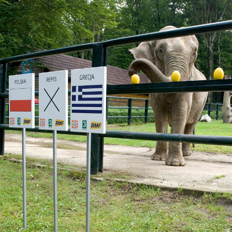 Сайт зоопарка Кракова