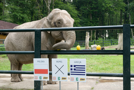 Сайт зоопарка Кракова