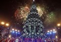 Главная новогодняя ель Украины зажглась на Майдане