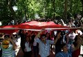 Протестующие несут турецкий флаг