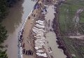 Ликвидация последствий наводнения в Венгрии