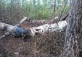 Вертолет Ми-8 разбился в Хабаровском крае
