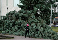 Последствия урагана Святой Иуда в Великом Новгороде