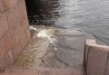 Последствия урагана Святой Иуда в Петербурге