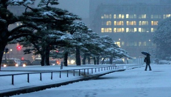 Сильный снегопад в Токио. Фото с места события