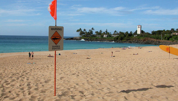 Предупреждение о наличии акул на Гаваях