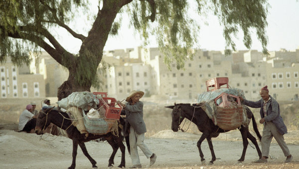 Марокканцы с навьюченными лошадьми