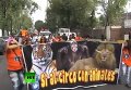 Артисты цирка протестуют против запрета на представления с животными