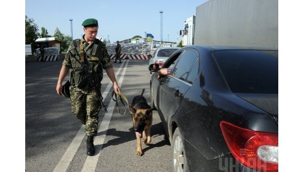 Пограничник с собакой проверяет машины на пропускном пункте